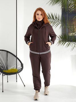 Спортивний костюм-двійка з трьохнитки петля  2429 фото